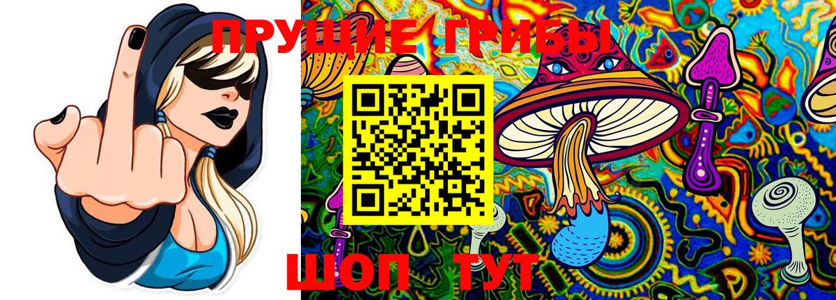 Воткинск  Псилоцибиновые грибы GOLDEN TEACHER  Вход с VPN 